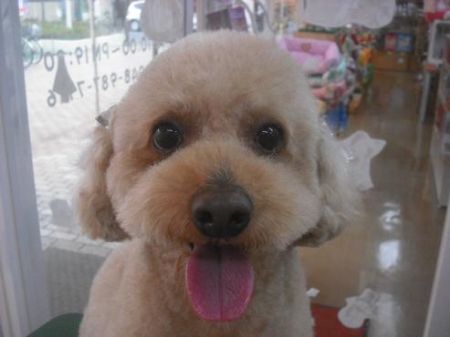 ファイル 2185-1.jpg