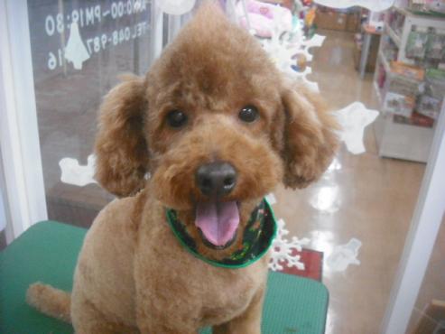 ファイル 2186-1.jpg