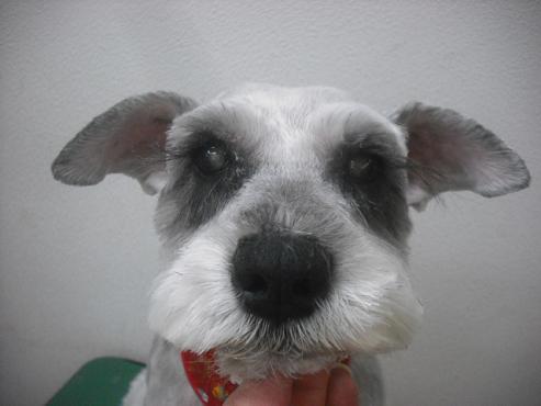 ファイル 2188-2.jpg