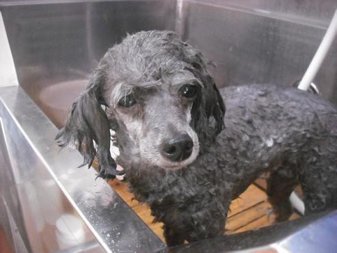 ファイル 2189-2.jpg