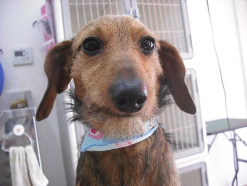 ファイル 219-1.jpg