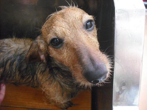 ファイル 219-2.jpg