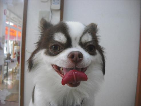 ファイル 2190-1.jpg