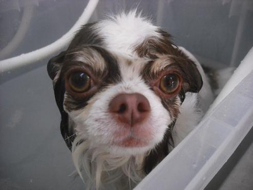 ファイル 2190-2.jpg