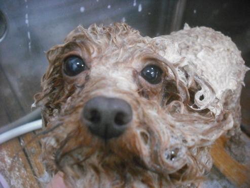 ファイル 2191-2.jpg