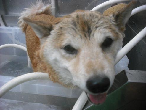 ファイル 2192-2.jpg