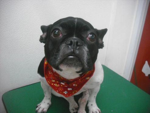 ファイル 2193-1.jpg