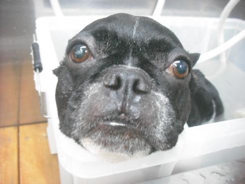 ファイル 2193-2.jpg