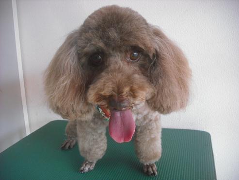 ファイル 2194-1.jpg