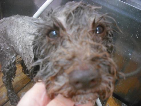 ファイル 2194-2.jpg