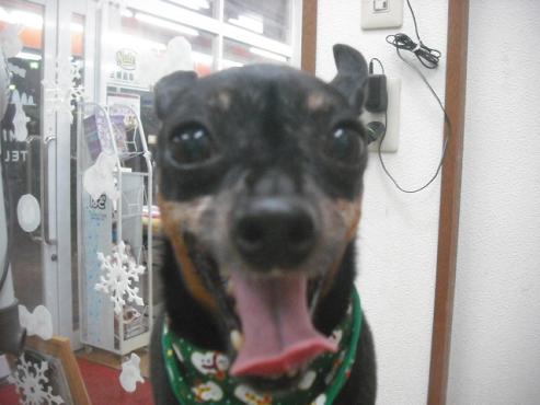 ファイル 2196-1.jpg