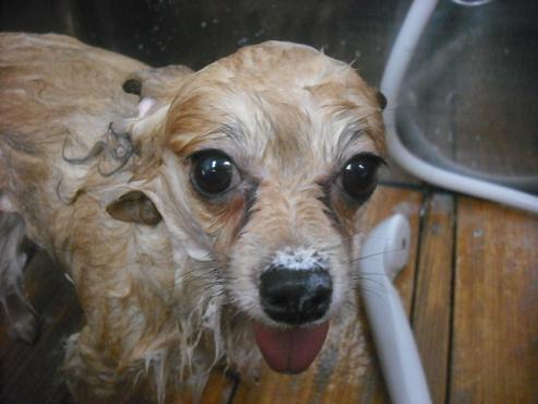 ファイル 2197-2.jpg