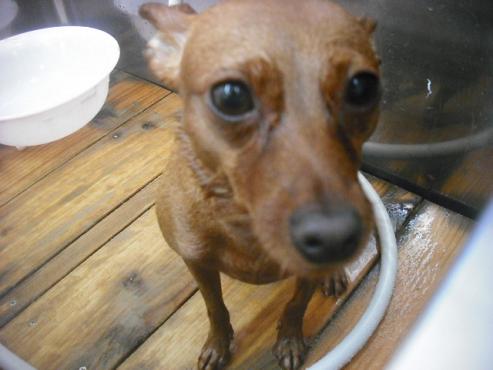 ファイル 2198-2.jpg