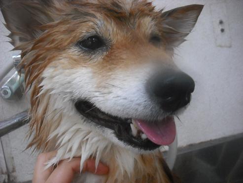 ファイル 2199-2.jpg