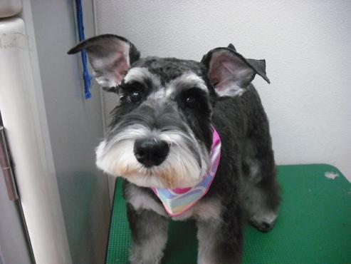 ファイル 22-1.jpg