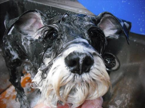 ファイル 22-2.jpg