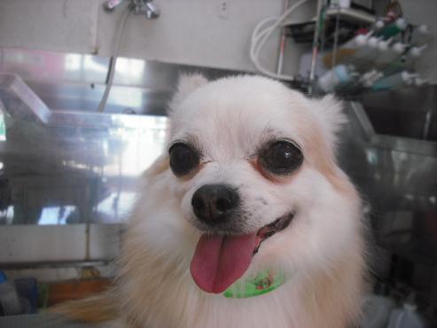 ファイル 220-1.jpg