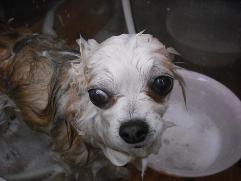 ファイル 220-2.jpg