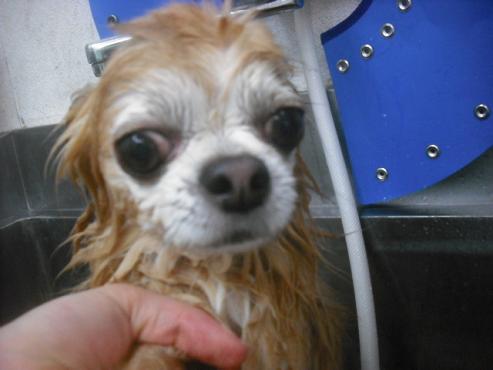 ファイル 2200-1.jpg