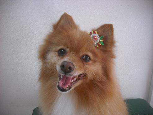 ファイル 2202-1.jpg