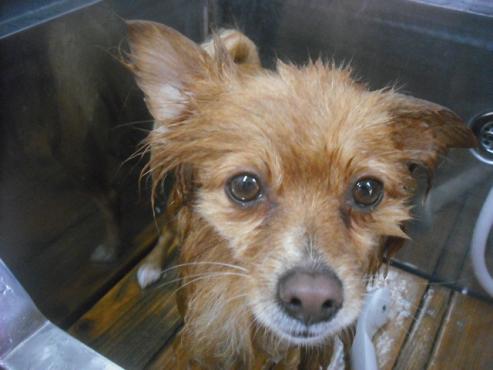 ファイル 2202-2.jpg