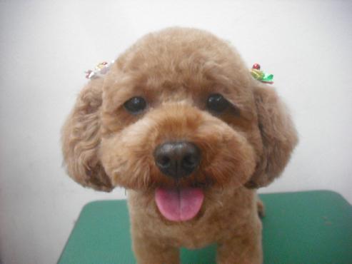 ファイル 2205-1.jpg