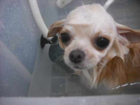 ファイル 2207-2.jpg