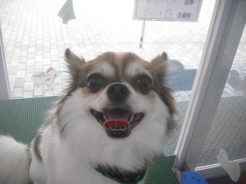 ファイル 2208-1.jpg