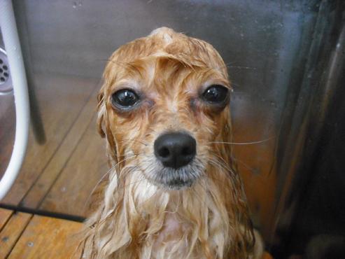 ファイル 221-1.jpg