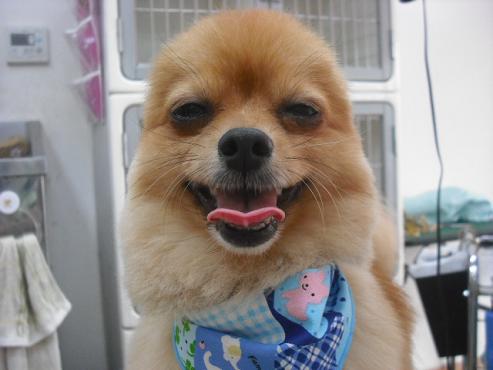 ファイル 221-2.jpg