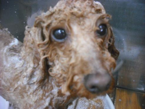 ファイル 2210-2.jpg