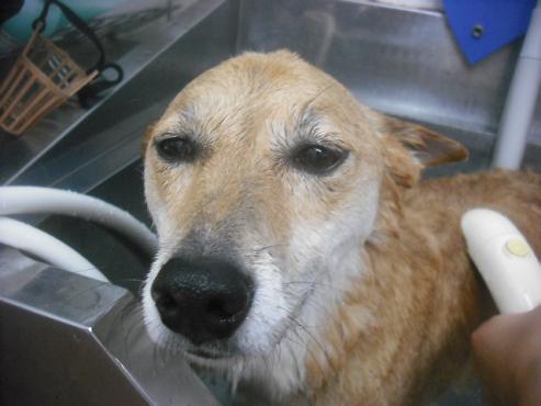 ファイル 2212-3.jpg