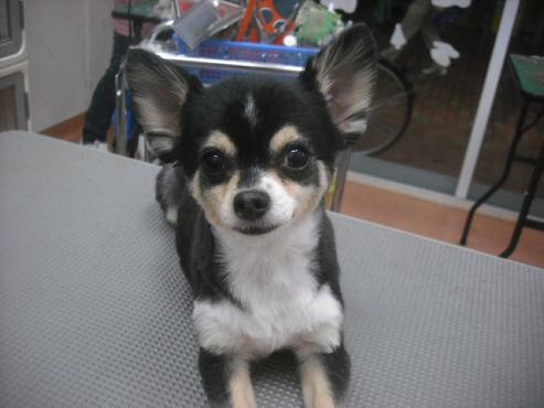 ファイル 2215-1.jpg