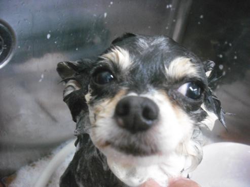 ファイル 2215-2.jpg