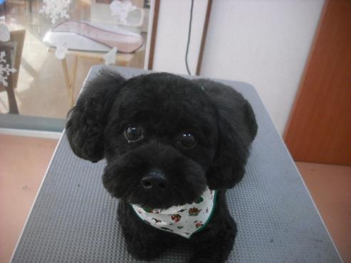 ファイル 2218-1.jpg