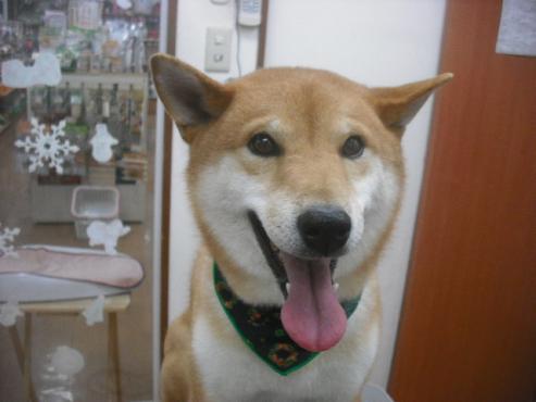 ファイル 2222-1.jpg