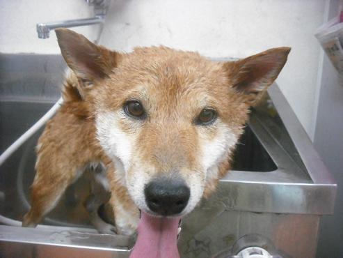 ファイル 2222-2.jpg