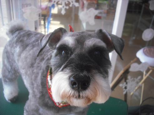 ファイル 2224-1.jpg