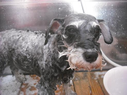 ファイル 2224-2.jpg