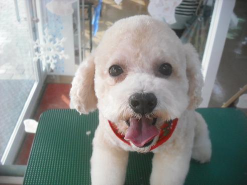 ファイル 2225-1.jpg