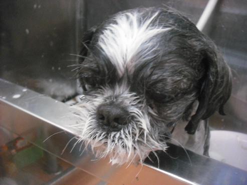 ファイル 2226-2.jpg