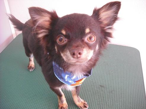 ファイル 223-1.jpg