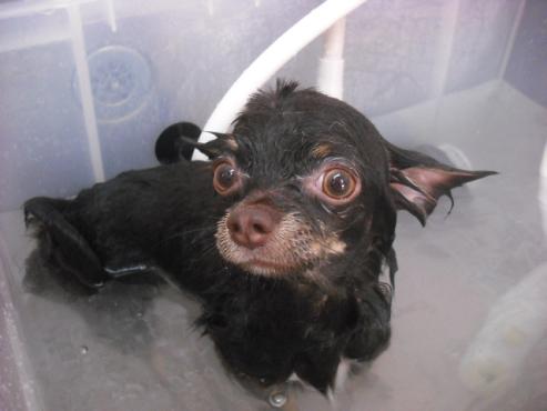 ファイル 223-2.jpg