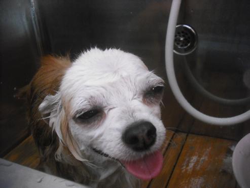 ファイル 2233-2.jpg