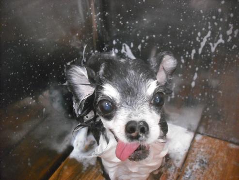 ファイル 2234-2.jpg