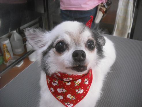 ファイル 2235-1.jpg