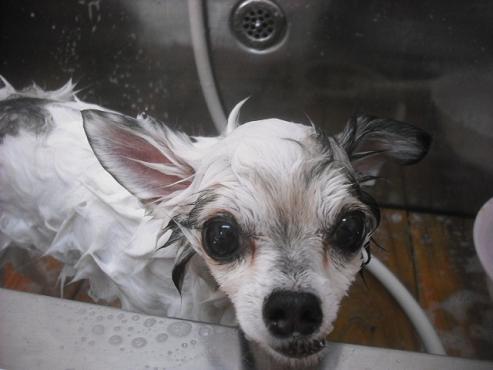 ファイル 2235-2.jpg