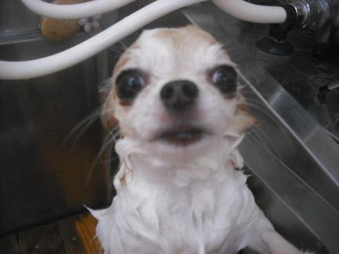 ファイル 2236-2.jpg