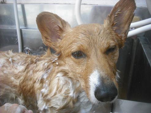 ファイル 2237-2.jpg