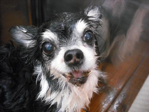 ファイル 224-2.jpg